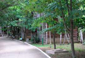 Домики из дерева на территории пансионата Альбатрос в Любимовке, Севастополь