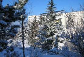 Отель Альбатрос в Любимовке, Севастополь зимой - заснеженные ели вид на пансионат
