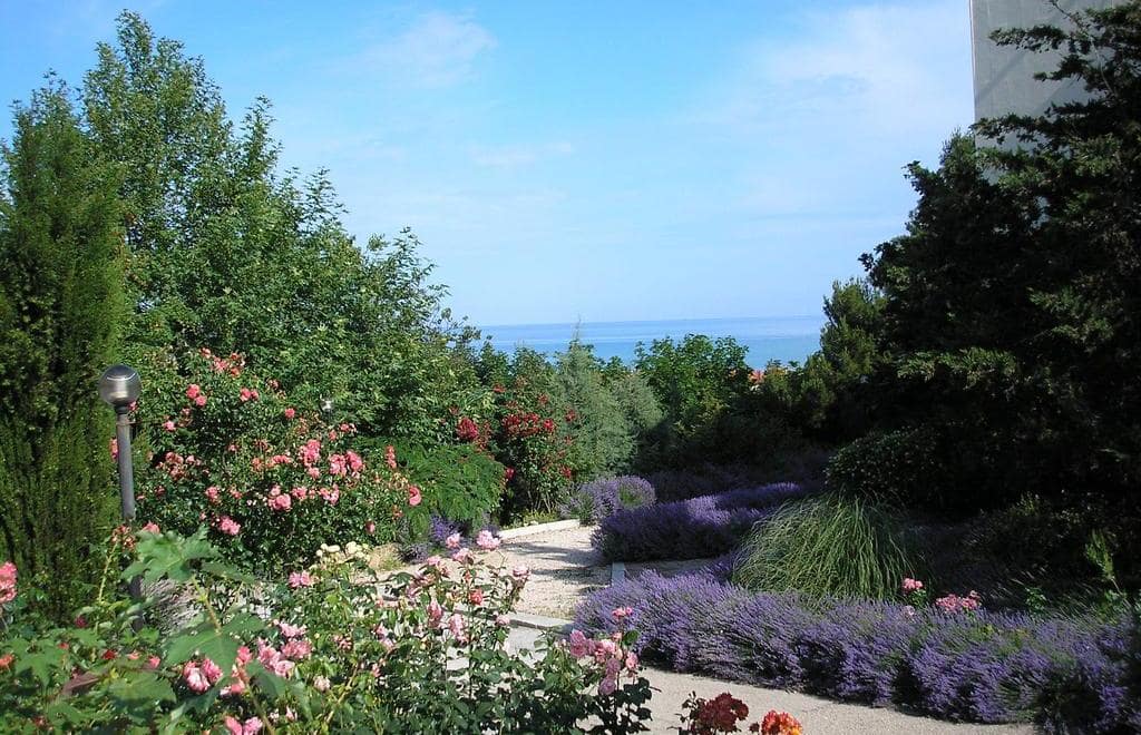 Парк. Гостиница Альбатрос в Севастополе